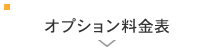 オプション料金表